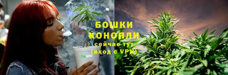 Канабис LSD WEED  продажа наркотиков  Петушки 